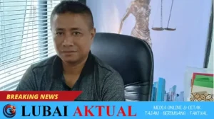 Maraknya Ilegal Logging di Halmahera Selatan, SOMASI Desak Aparat Bertindak Tegas