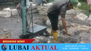 Harga Karet Anjlok Usai Lebaran, Petani Belida Darat Tetap Optimis