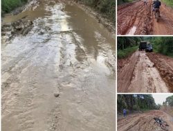 JALAN DESA BANYUMAS DAN PURBAMAS KECAMATAN KIKIM TENGAH KABUPATEN LAHAT RUSAK PARAH, GENANGAN LUMPUR MEMUTUS AKSES MASYARAKAT