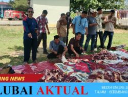 Taufik Azrullah, S.Sos., Komandoi Pembagian Daging Kurban di Kantor Camat Lubai Ulu