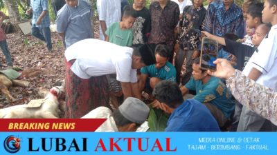 Kades Edi Herman Jaya Hadiri Penyembelihan Hewan Kurban di Desa Lecah