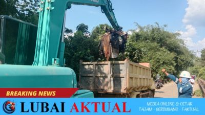 Camat Lubai Ulu Bersinergi dengan Pertamina Bersihkan Sampah di Bawah Jembatan Lubai