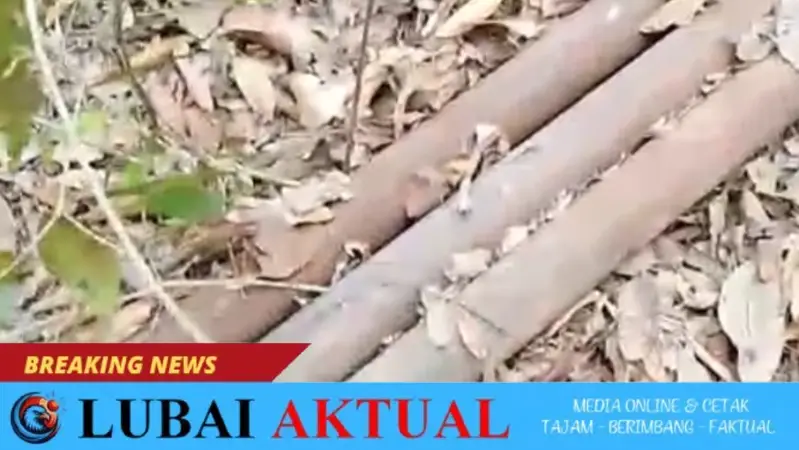 Baru Dua Pekan Diperbaiki, Besi Jembatan Sungai Buaya Kecik Raib Digondol Maling 3 batang pipa tubing yang ditemukan linmas sumber mulya