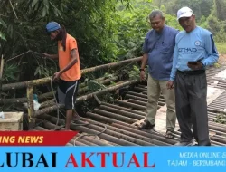 Baru Dua Pekan Diperbaiki, Besi Jembatan Sungai Buaya Kecik Raib Digondol Maling